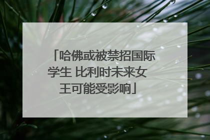 哈佛或被禁招国际学生 比利时未来女王可能受影响
